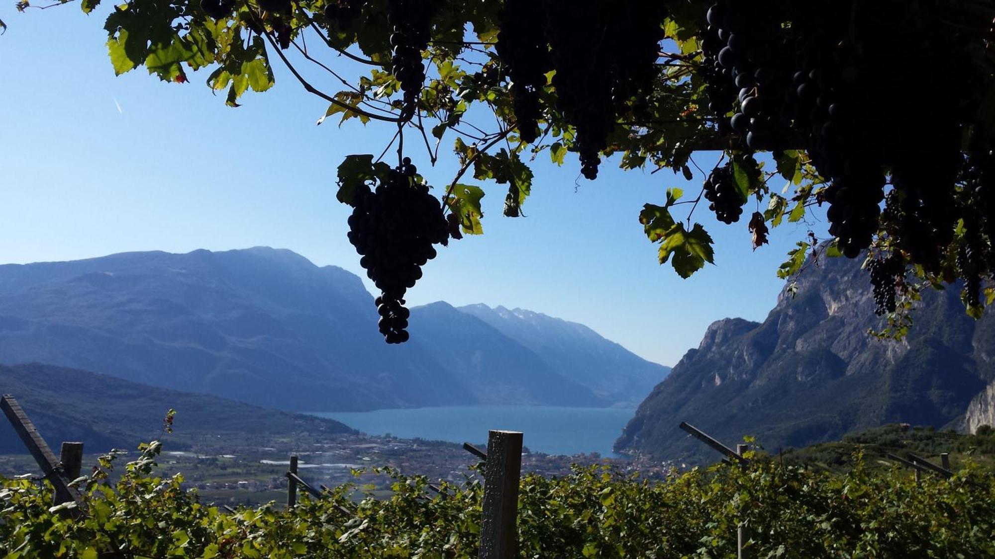 Vila Agritur Calvola Tenno Exteriér fotografie